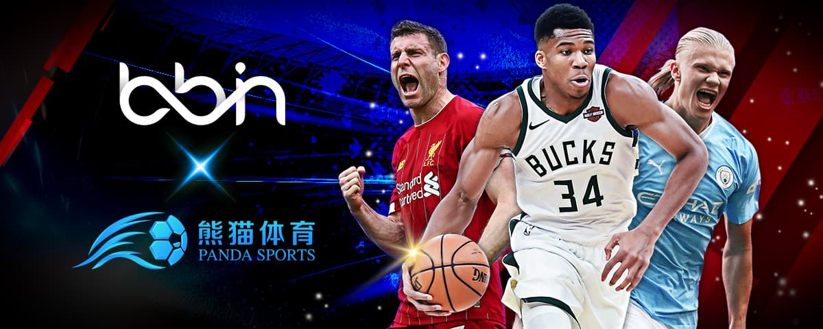 网球以其独